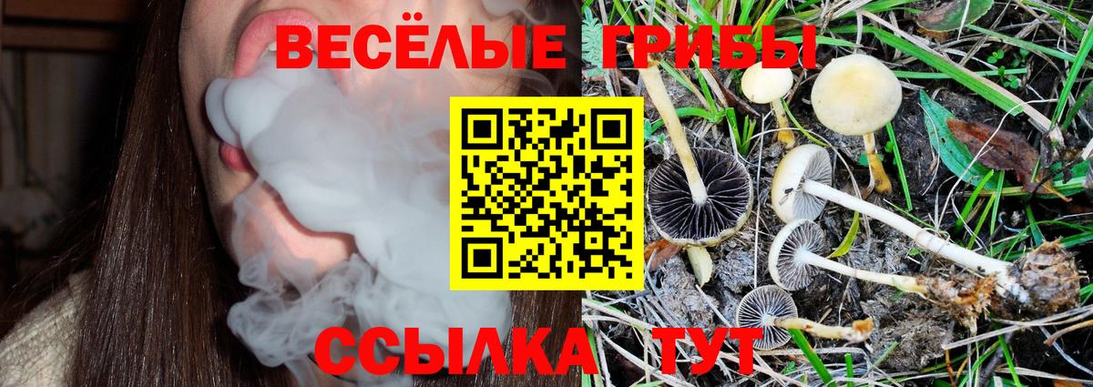 Псилоцибиновые грибы ЛСД  купить   Железногорск  Вход с VPN 