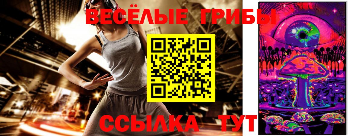 Псилоцибиновые грибы Psilocybine cubensis Железногорск